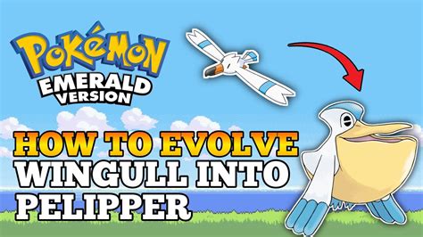 how to evolve wingull.